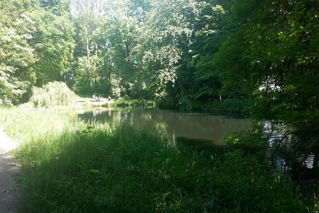 Kinderboerderij De Boerenzwaluw景点图片