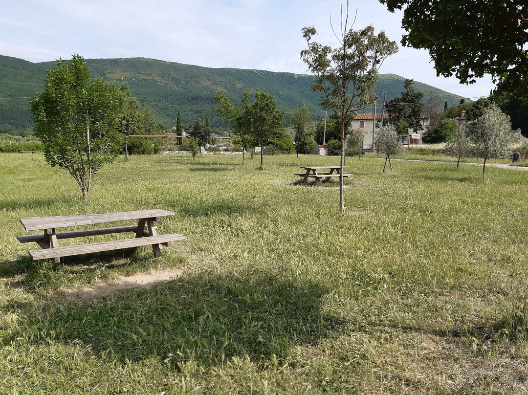 Parco Agricolo di Travalle景点图片