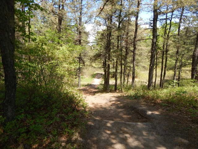 Albany Pine Bush Preserve-奥尔巴尼必去景点