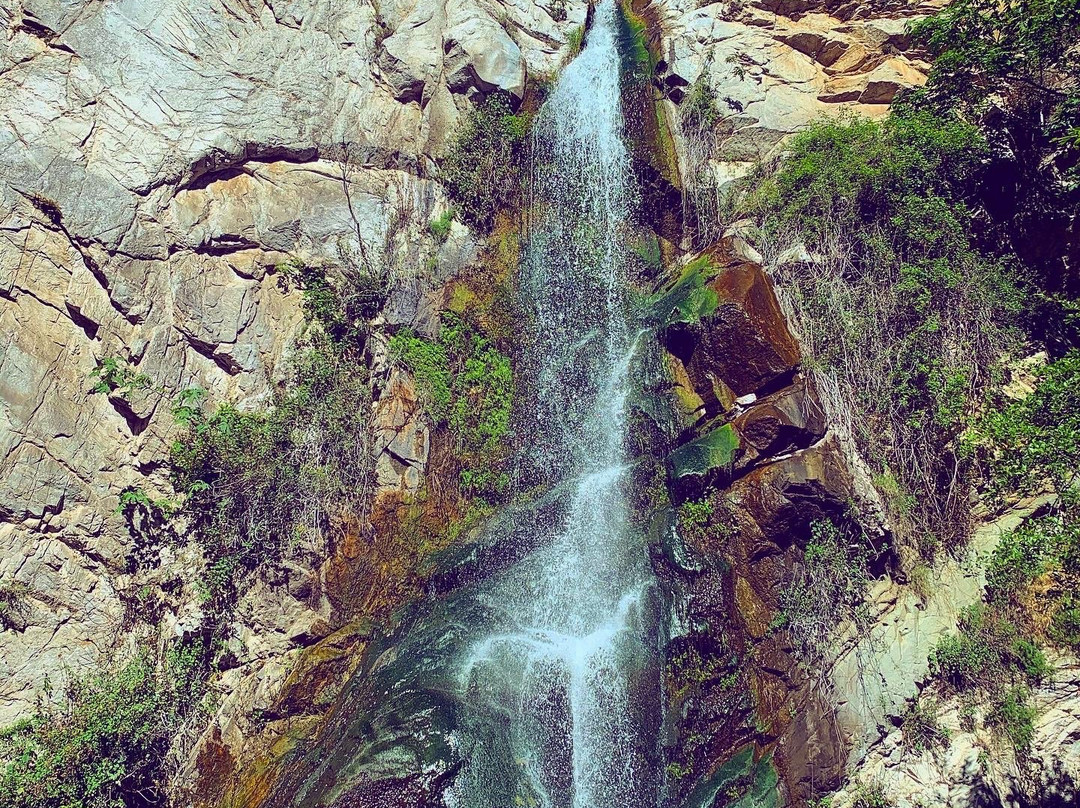 Sturtevant Falls Trail景点图片