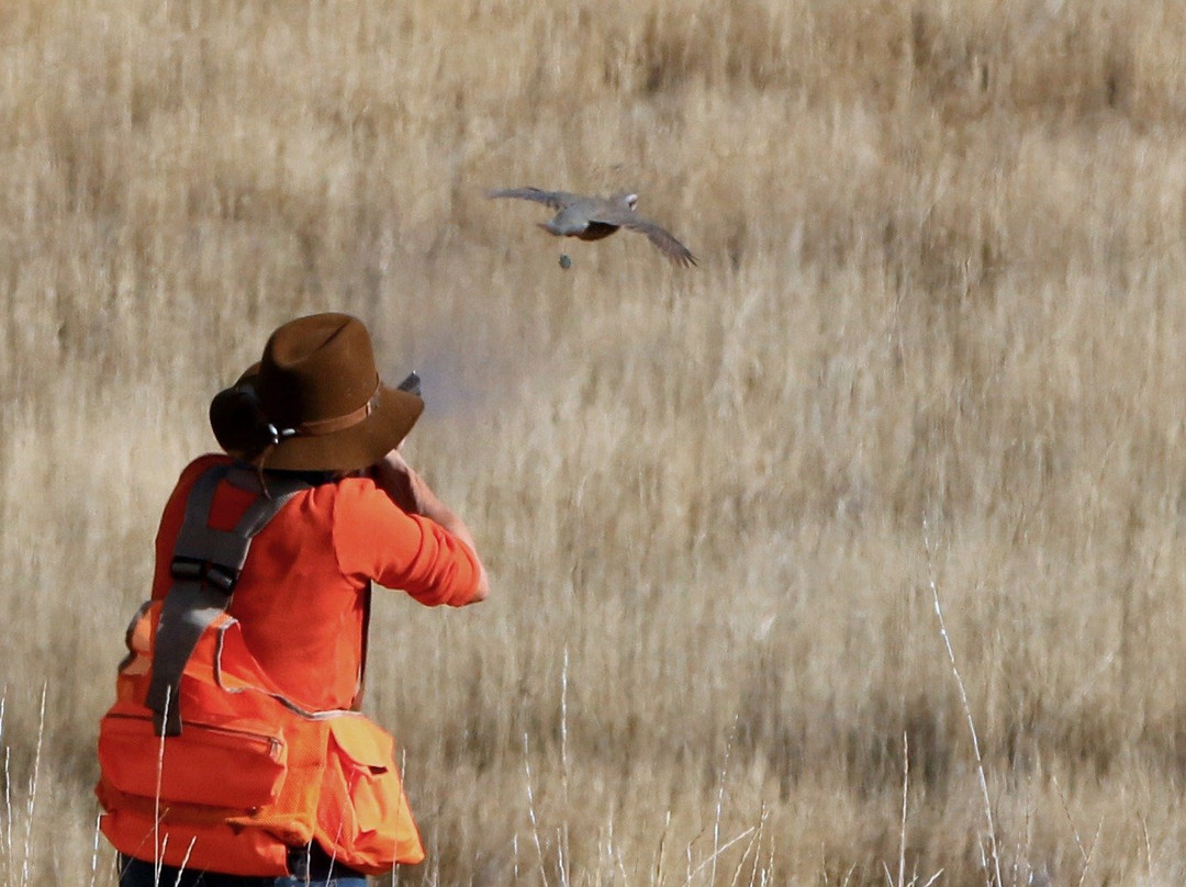Ruggs Ranch Hunting Preserve-Heppner必去景点