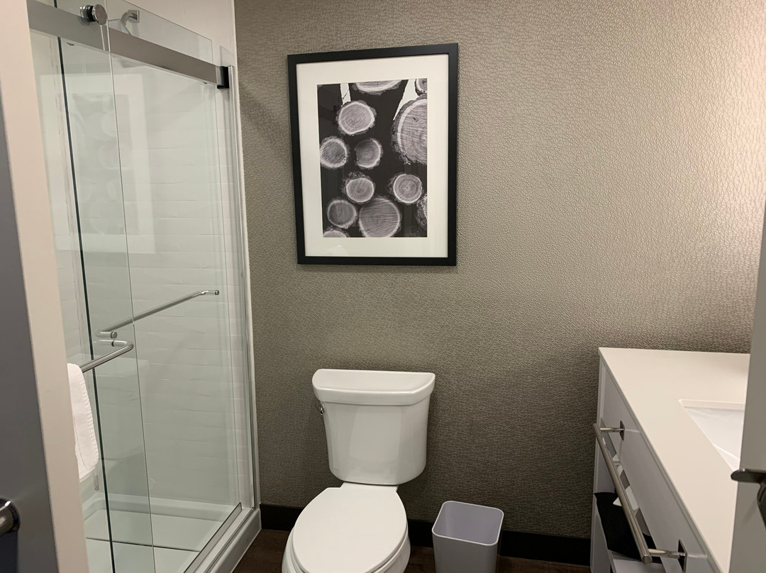 Four Points By Sheraton Vaughan主图