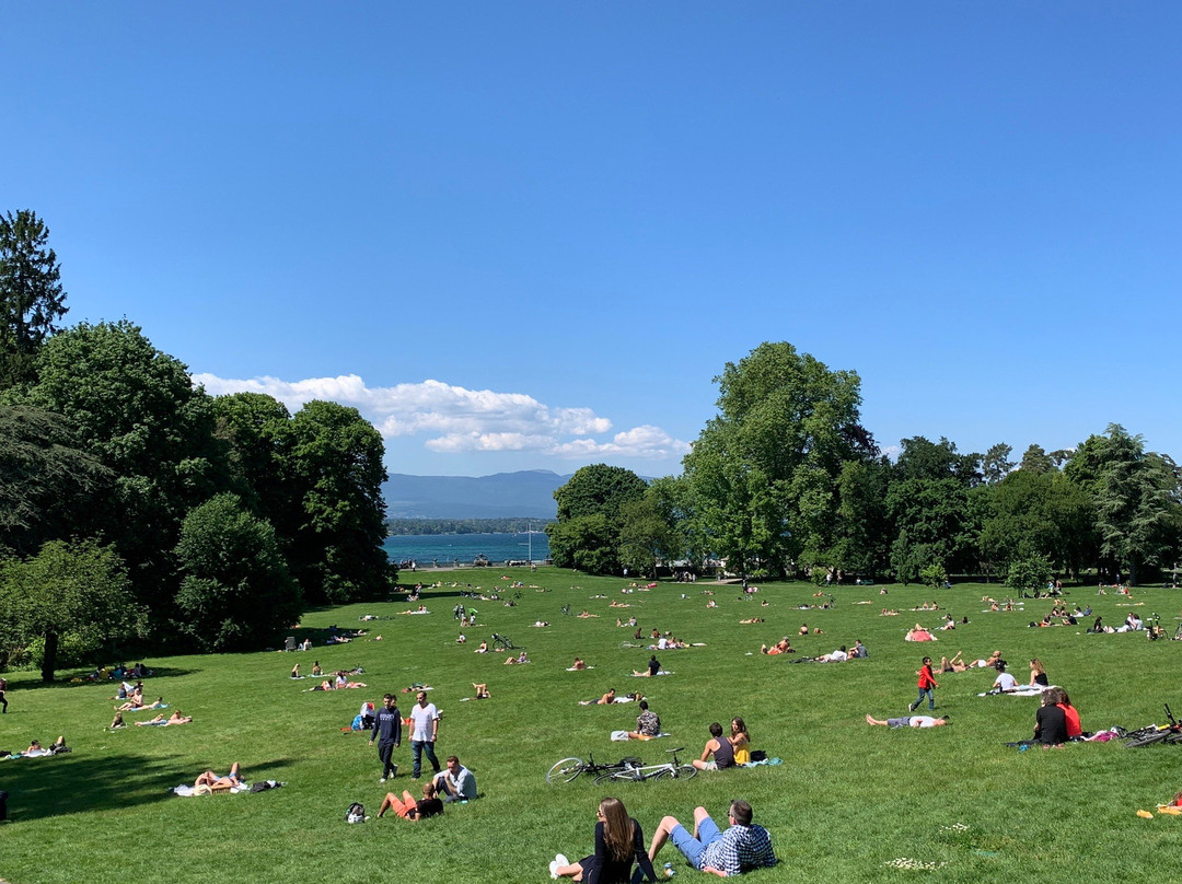 Parc des Eaux Vives景点图片