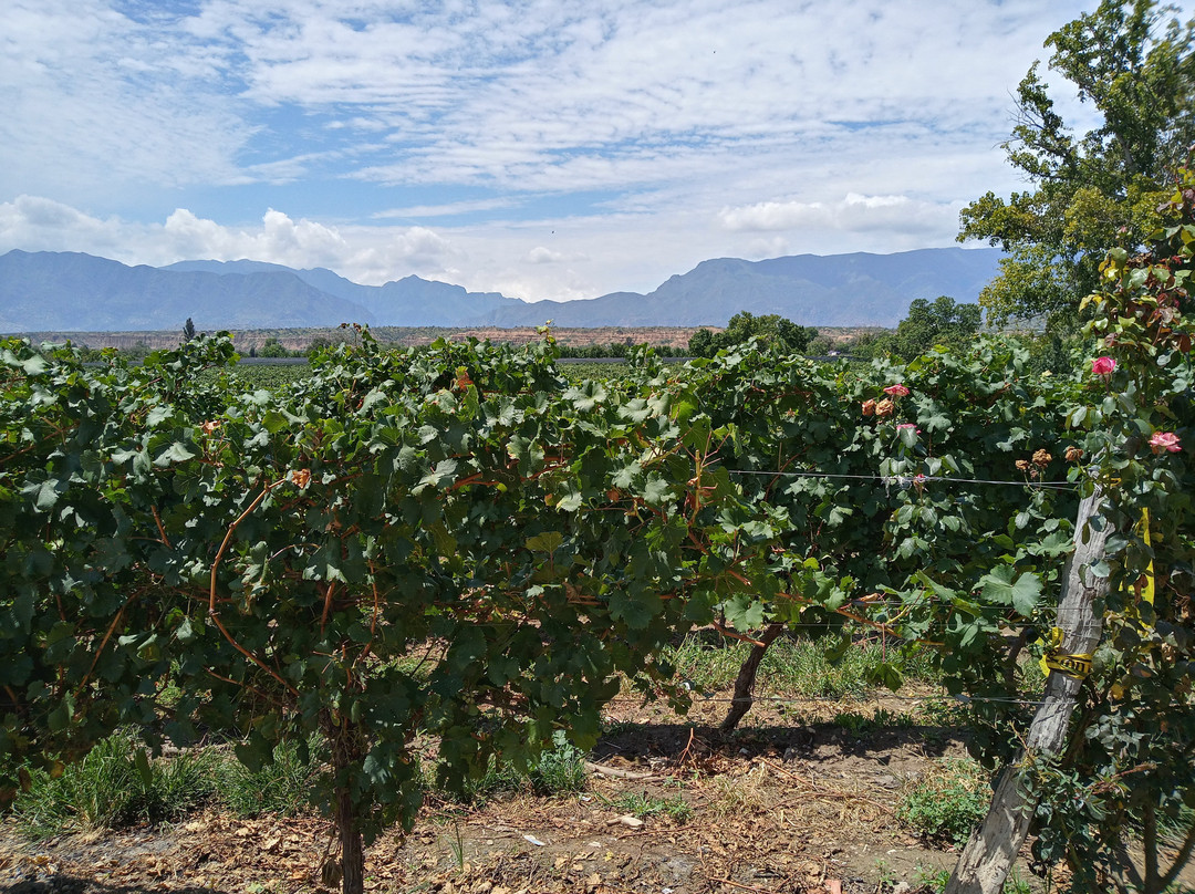 Terravina Hotel del Vino主图