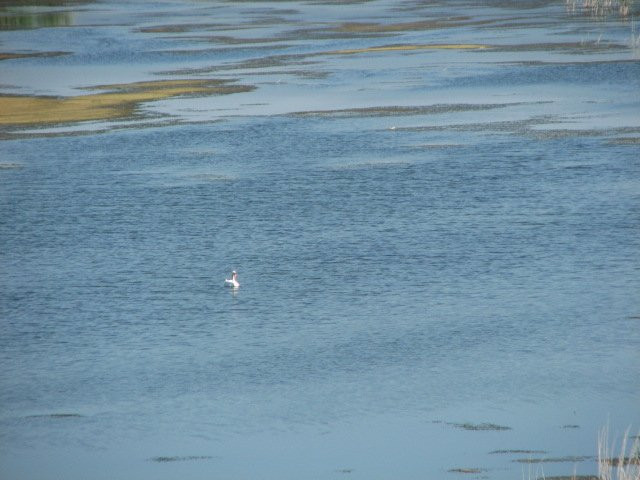 Prespa Lakes景点图片
