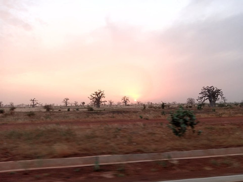 Royal Baobab Excursions-索蒙必去景点