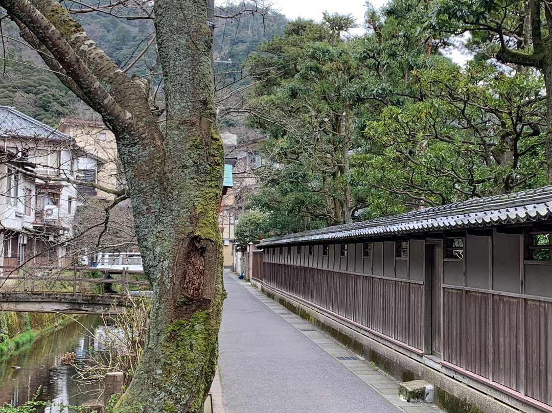 Kiyamachi Koji-丰冈市必去景点