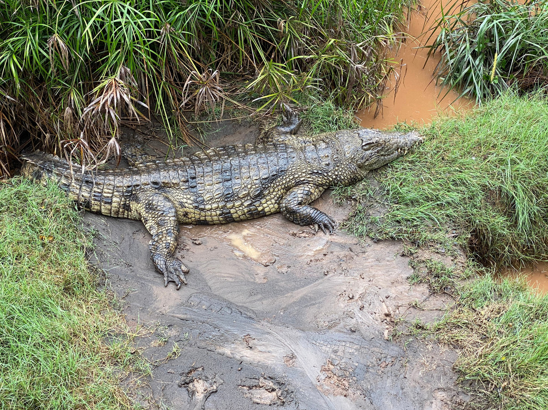 Crocodile Park Victoria Falls景点图片