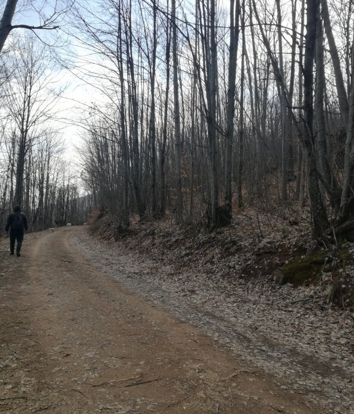 Arxontiko Agonari主图