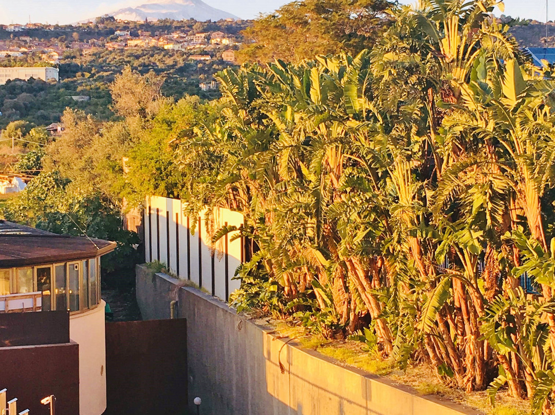 4 Spa Resort Hotel主图