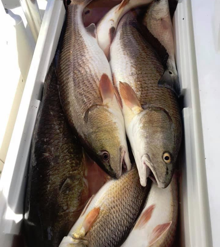 Elite Fishing Adventures景点图片