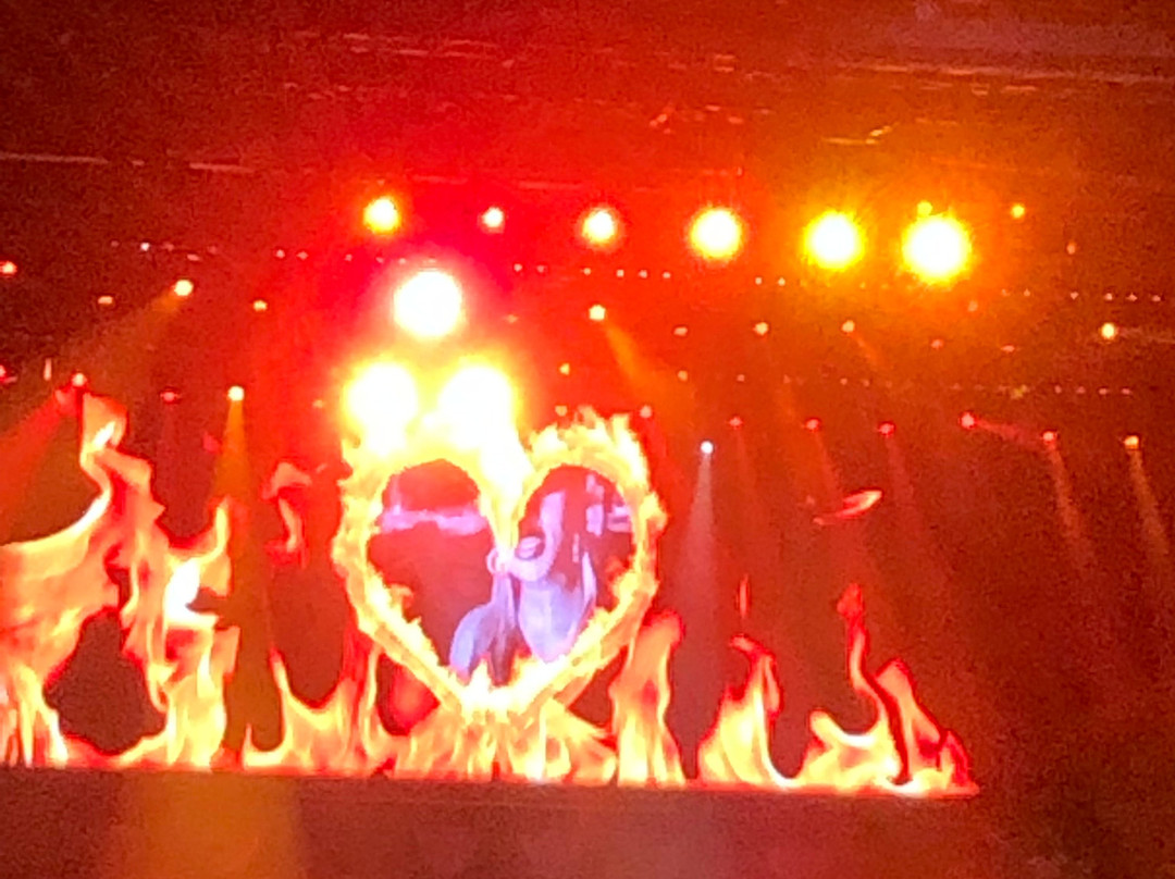 板球场地-凤凰城必去景点