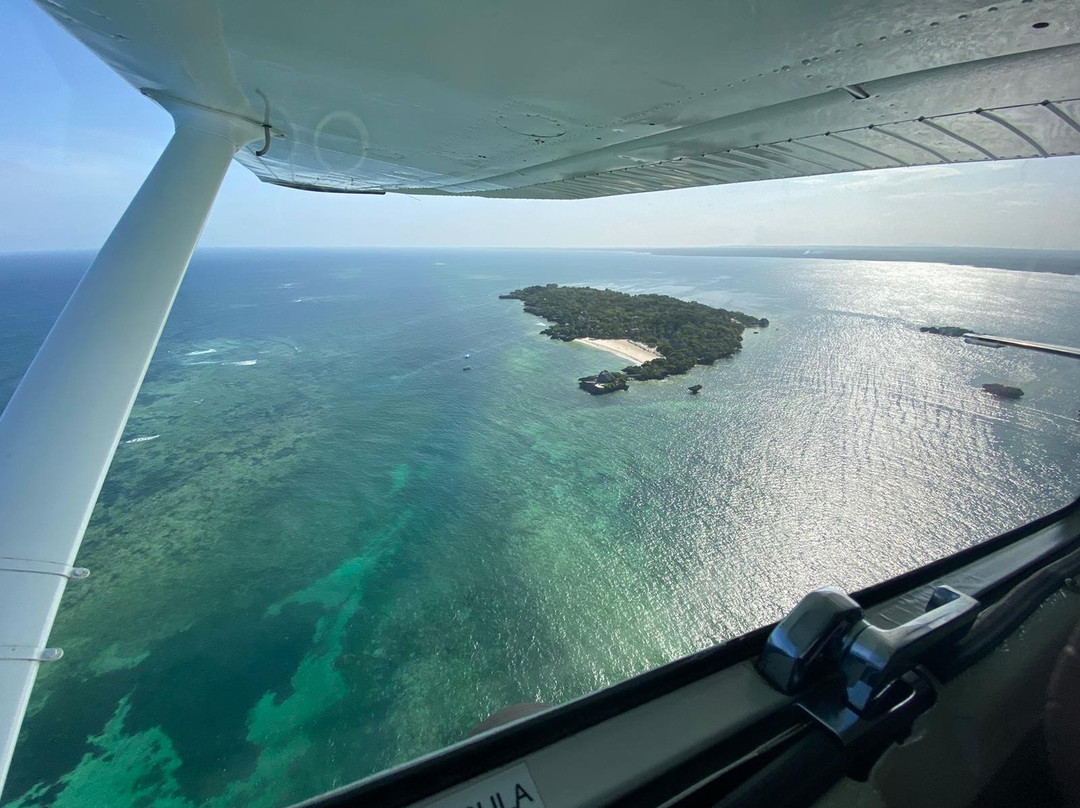 Wild Coast Air Safaris景点图片