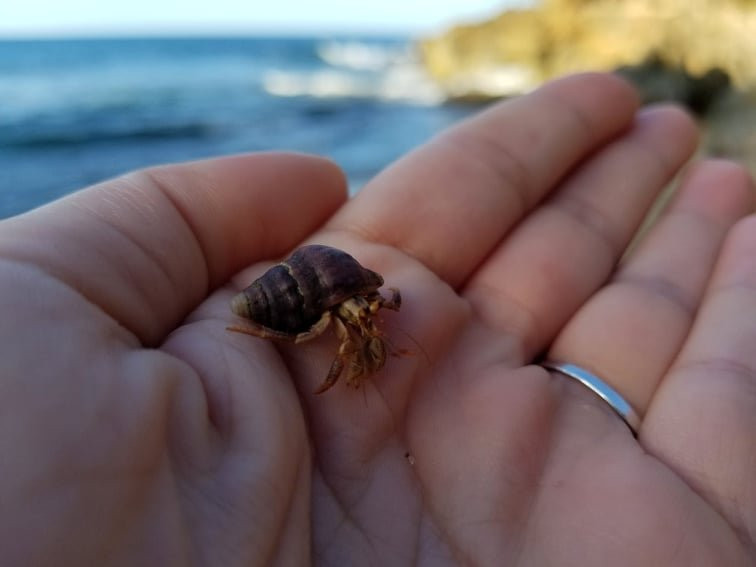 Puerto Hermina Beach-Quebradillas必去景点