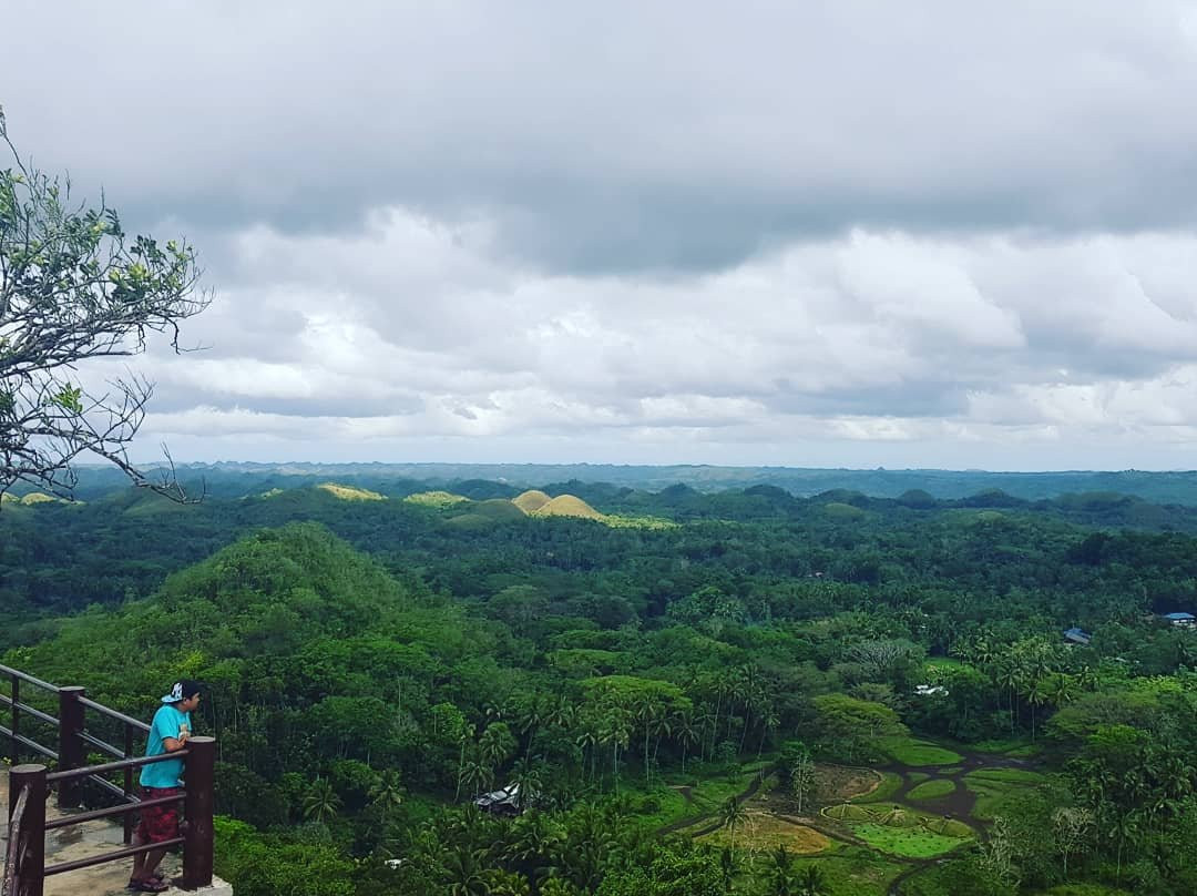 Chocolate Hills Adventure Park景点图片
