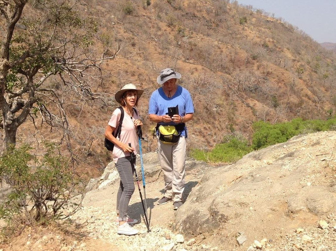 Jawai Jungle Camp-Bali必去景点