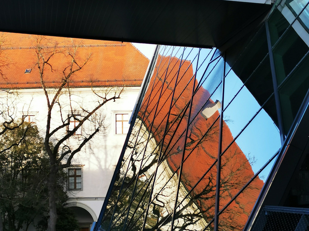 Schlossmuseum Linz-林兹必去景点
