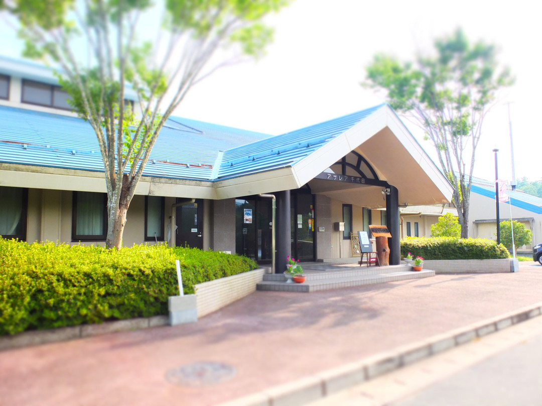 Azalea Chiyoda主图
