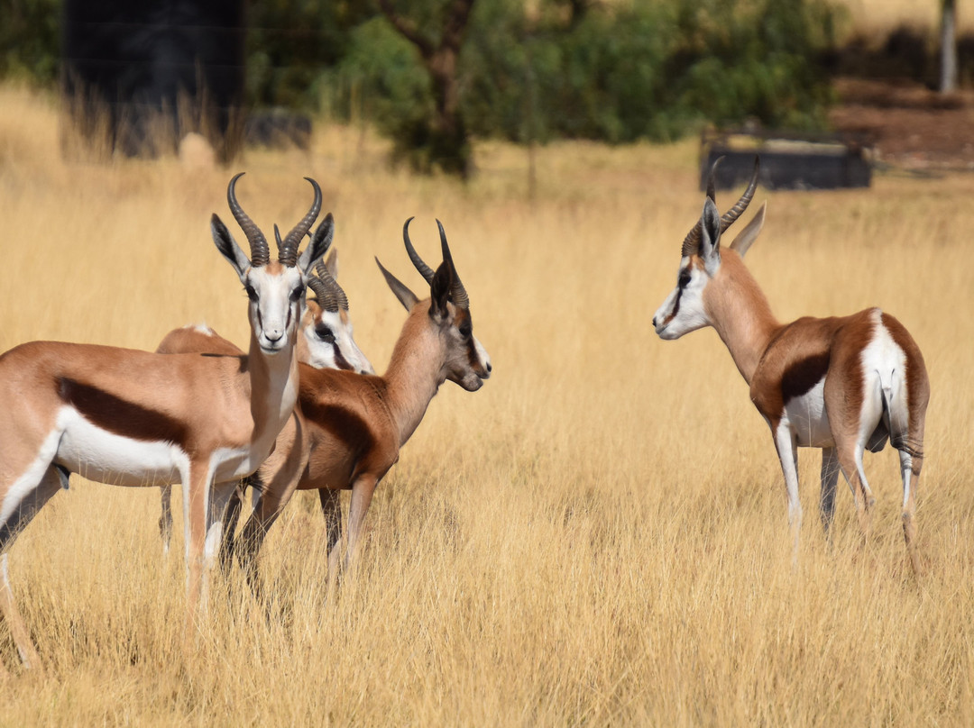 Blue Rain Guest House主图