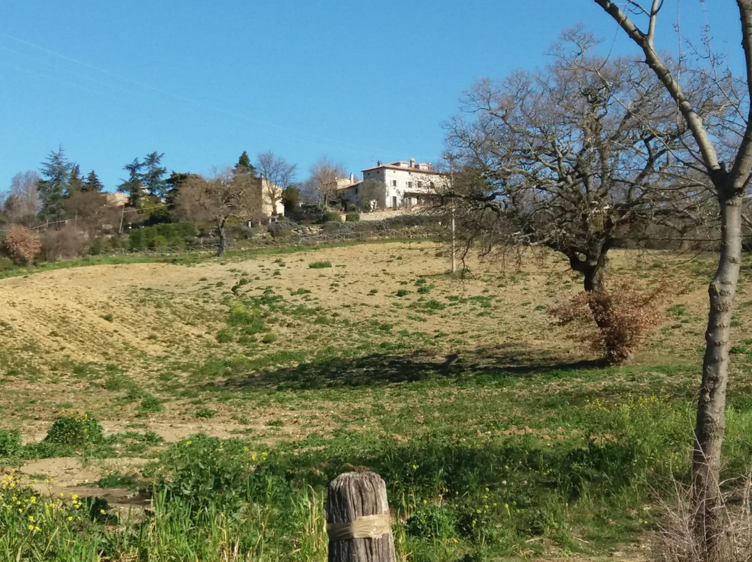 Agriturismo Il Castello di Catabbiaccio主图