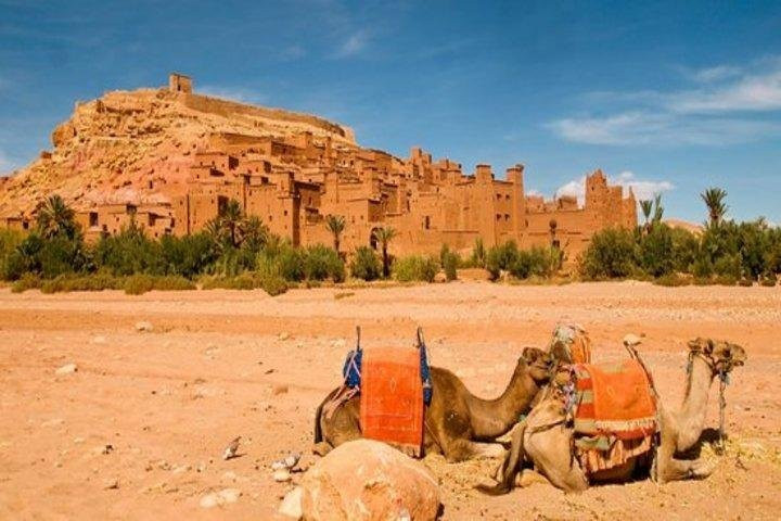 AusflugreisenMarokko-Mit-Ibrahim-阿加迪尔必去景点