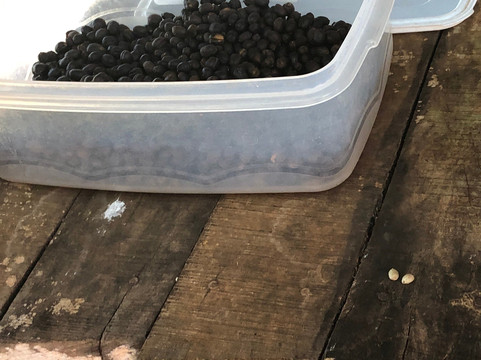 Cafetal Santa Rosa-Zaragoza必去景点