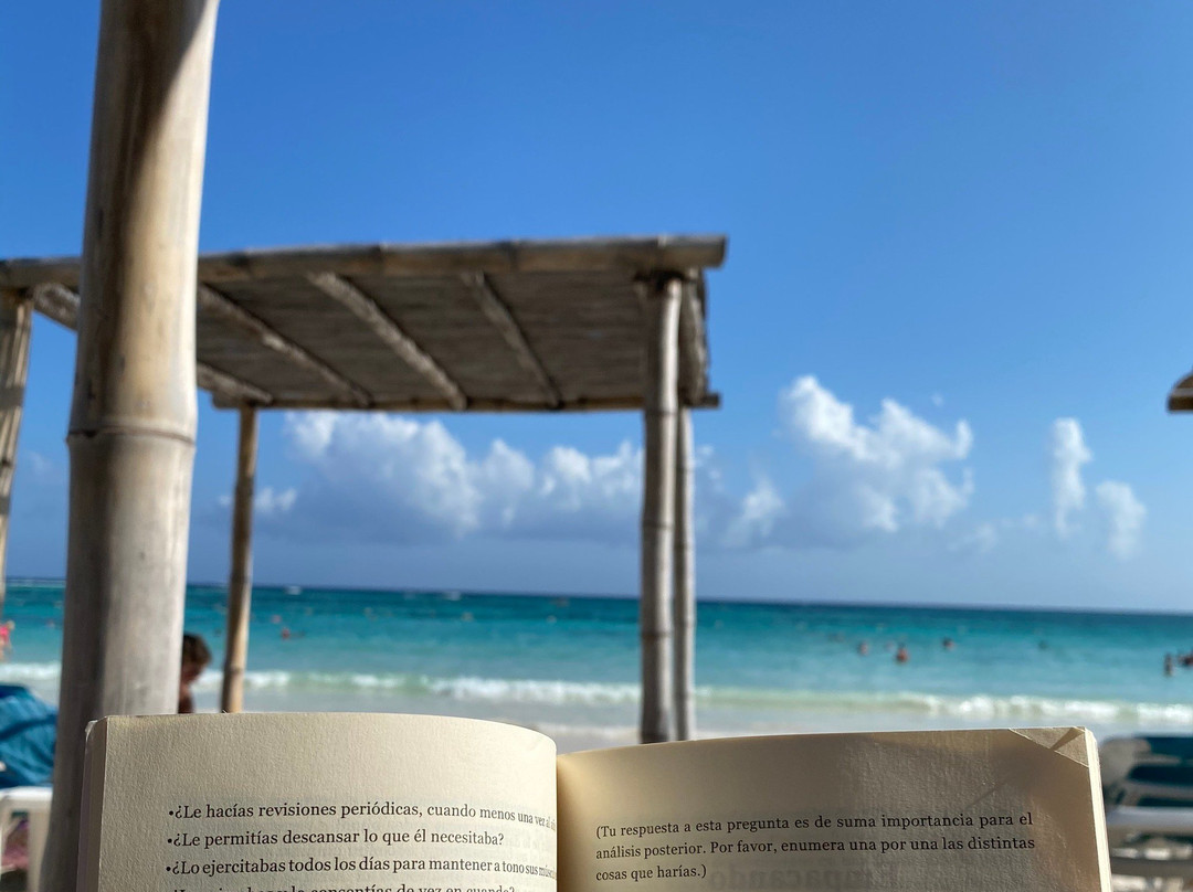 Akumal Bay-艾库玛尔必去景点