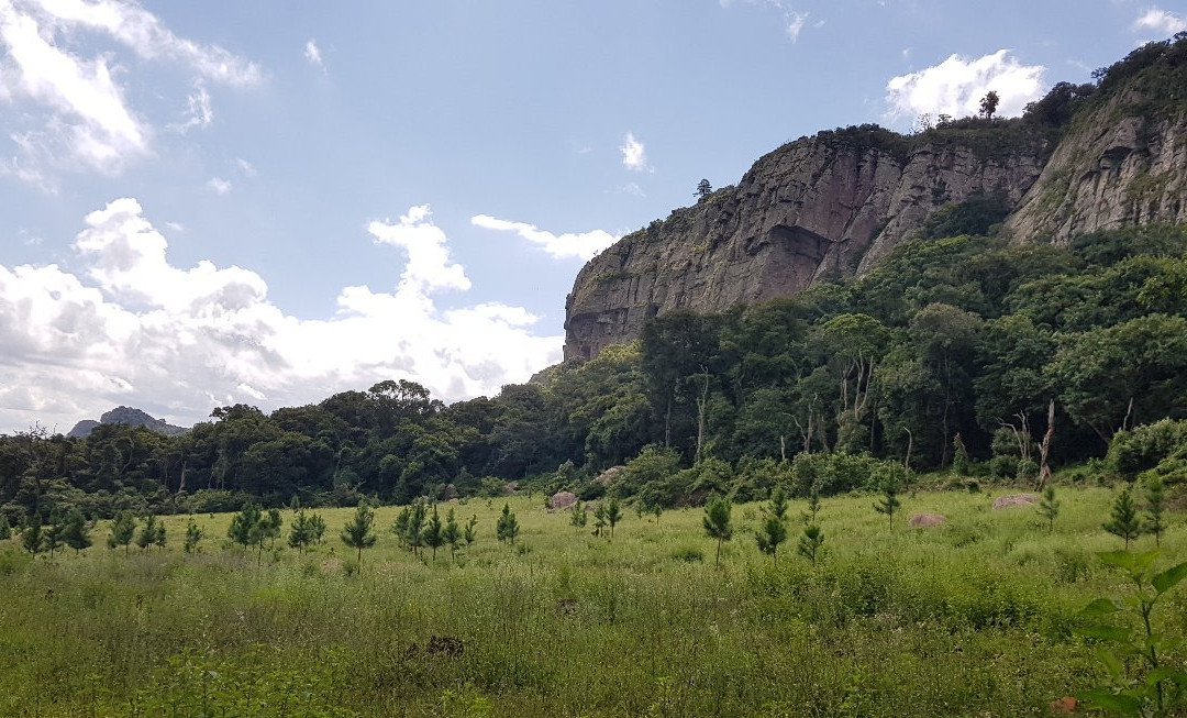 Hanglip Forest Reserve-路易特里哈特必去景点