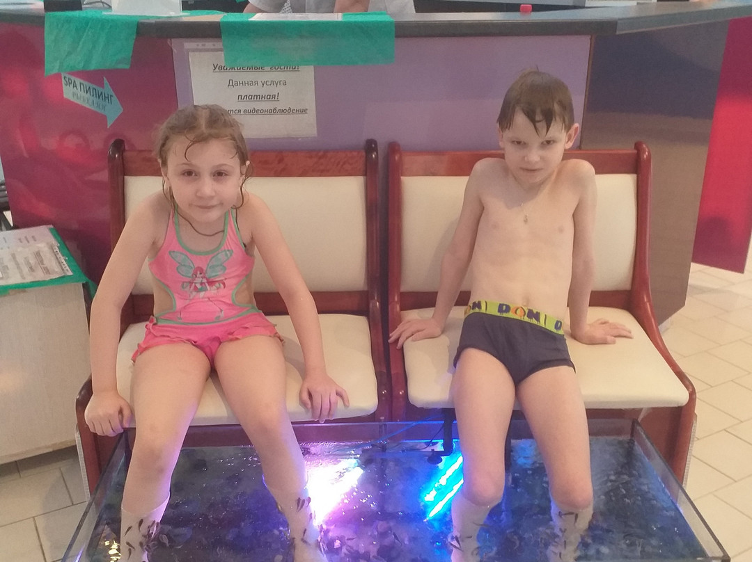 Aquapark Okskaya Zhemchuzhina景点图片