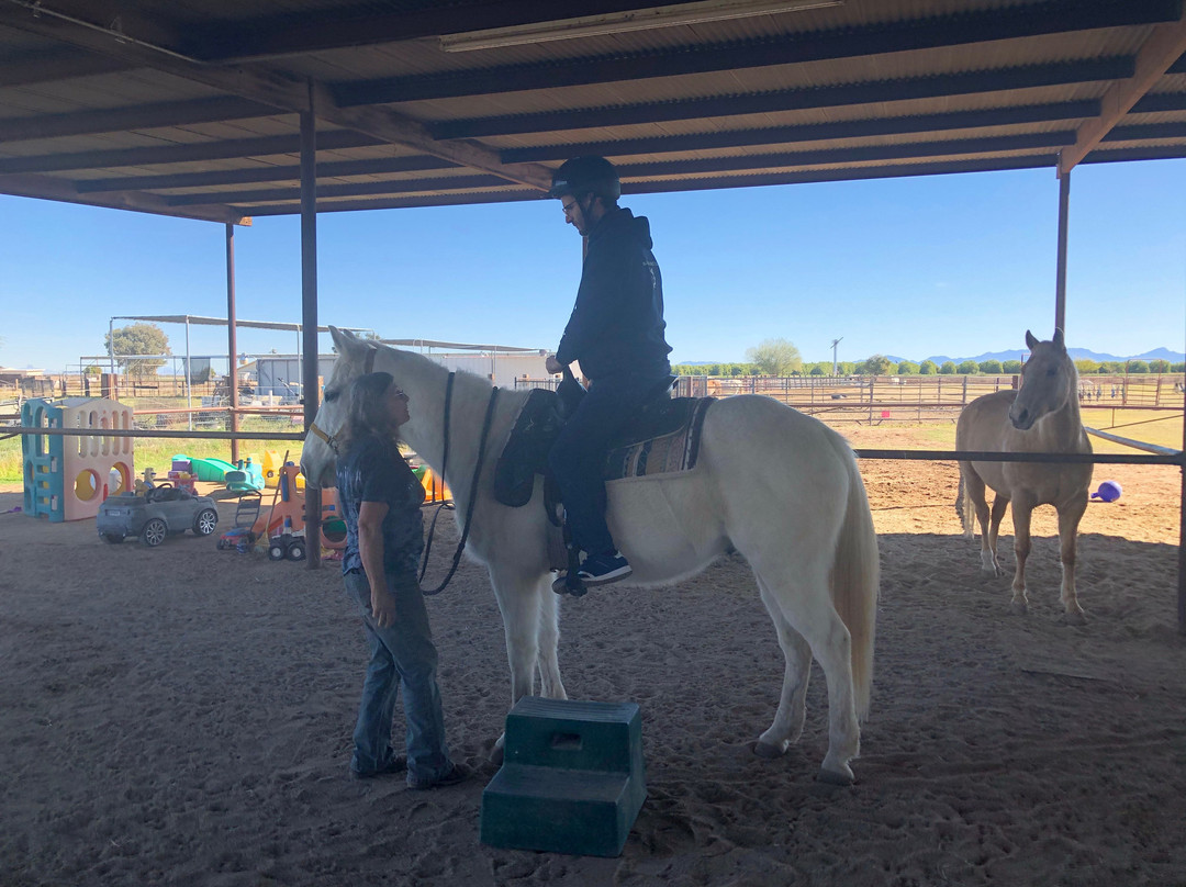 Desert Horse Adventures-尤马必去景点