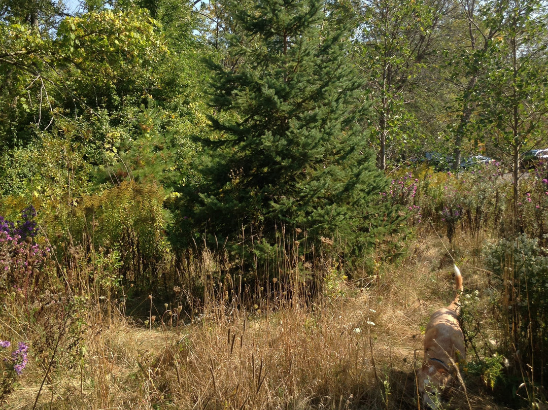 Jack Darling Memorial Park-米西索加必去景点