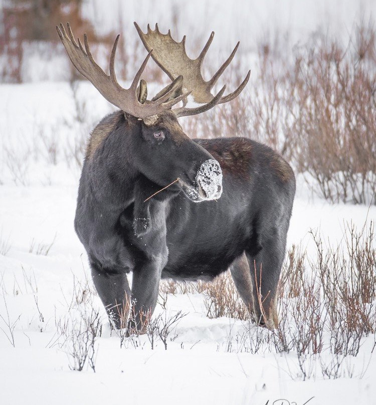 Trent Sizemore Photography-西黄石镇必去景点