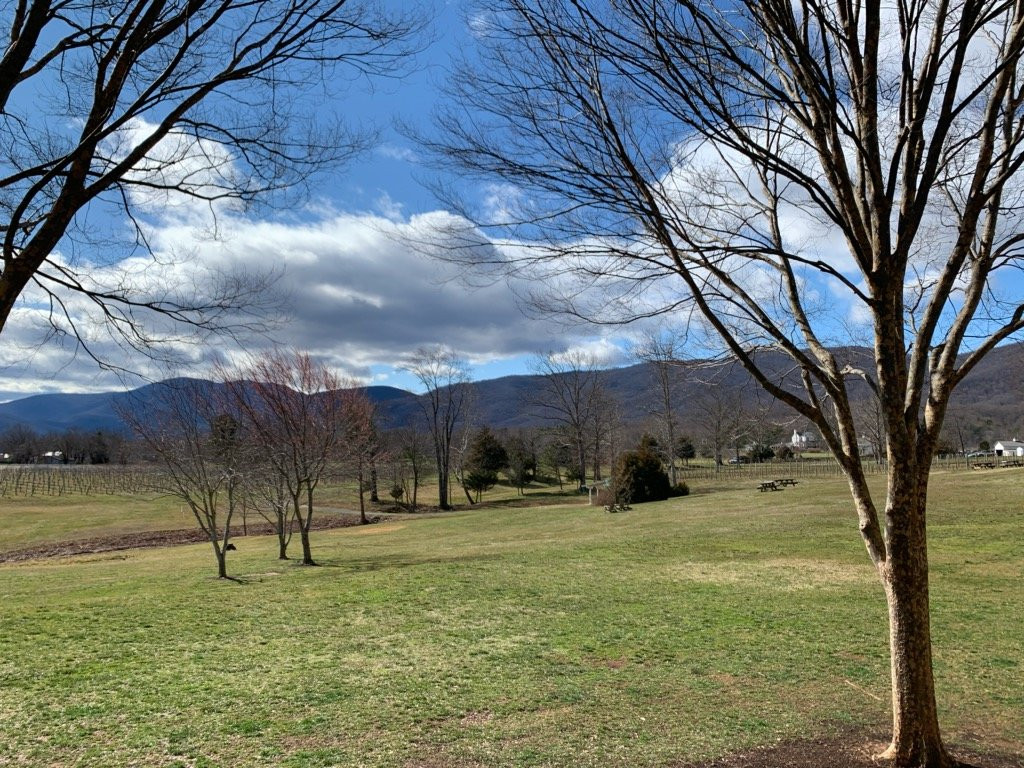 Wish Wish Wine Tours-夏洛茨维尔必去景点