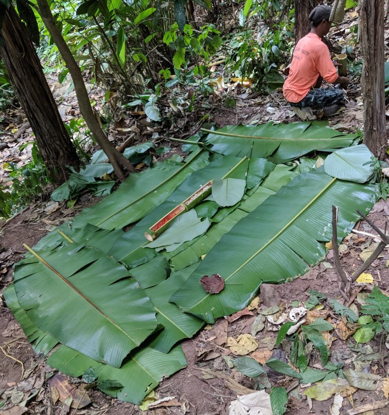 Nature Life Laos-琅南塔必去景点