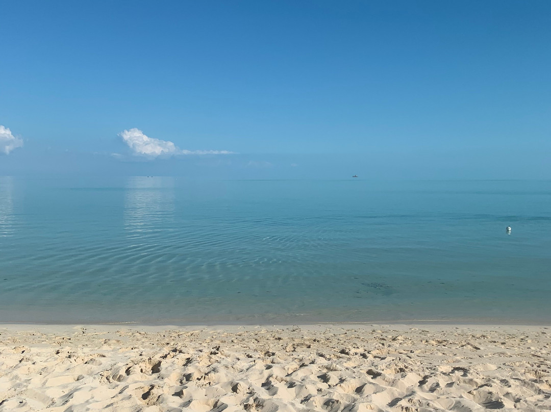 TCI Safari Tours-普罗维登西亚莱斯必去景点