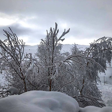 null-Uludag National Park