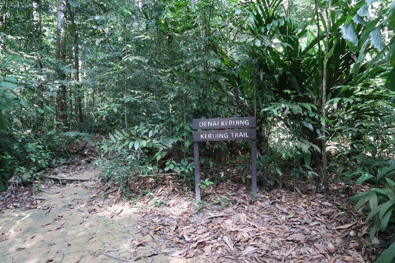 FRIM -Forest Research Institute of Malaysia-八打灵再也必去景点