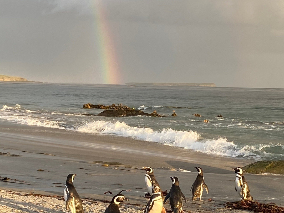 Sea Lion Island景点图片