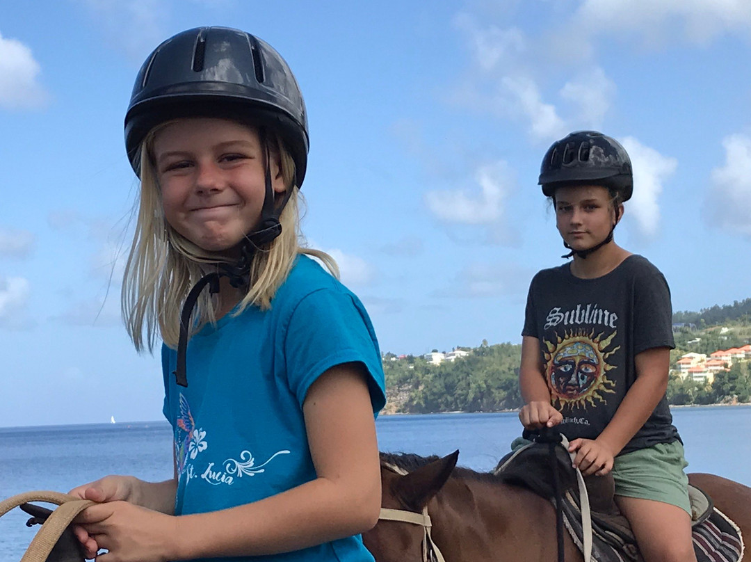 Rainforest Riding-Portsmouth必去景点