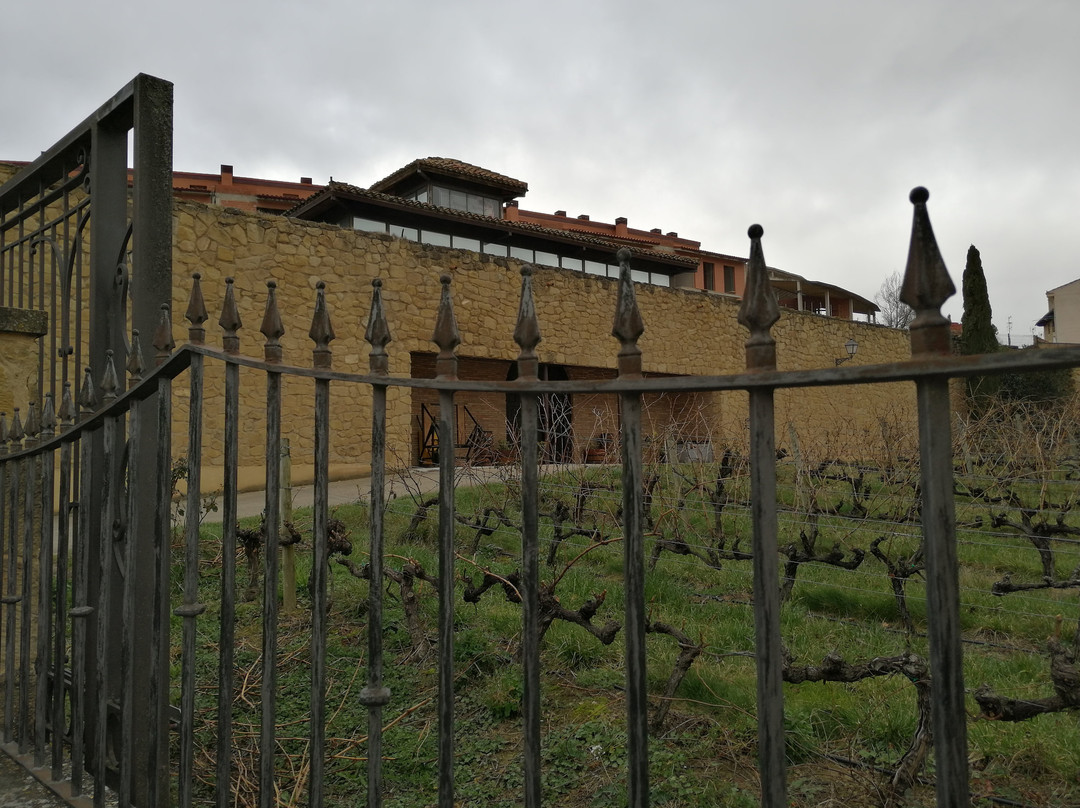 Miguel Merino Winery景点图片