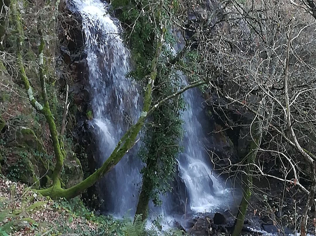 Bica da Agua d'Alta景点图片