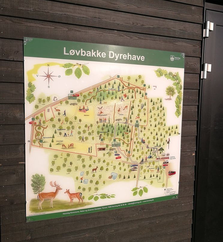 Loevbakke Naturcenter景点图片