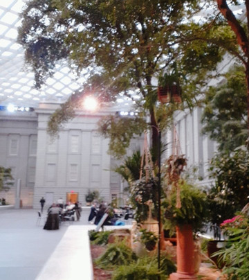 See DC Today-华盛顿特区必去景点