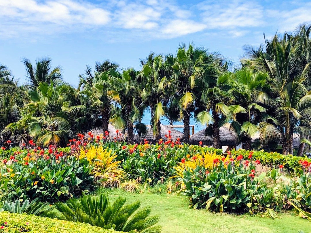 皇家哨兵得可麦仑度假村-全包主图