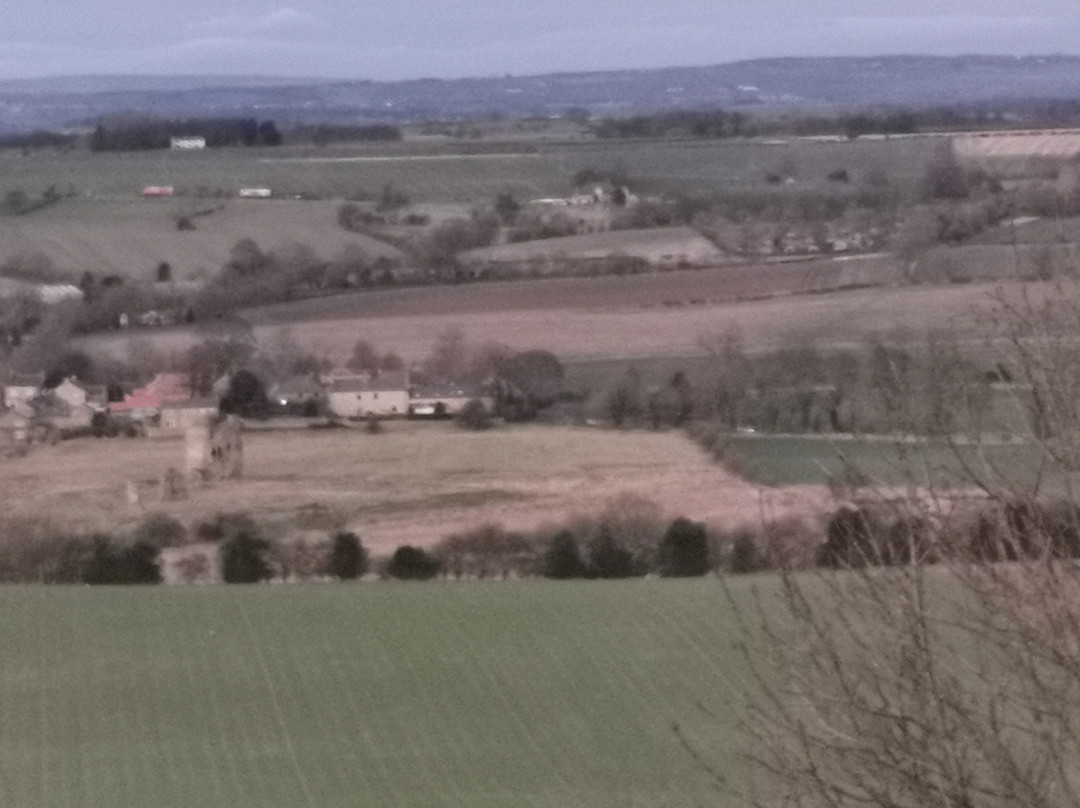 The Shoulder of Mutton Inn主图