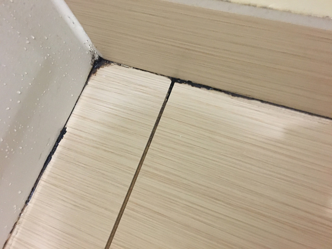 Days Inn & Suites by Wyndham Wichita主图