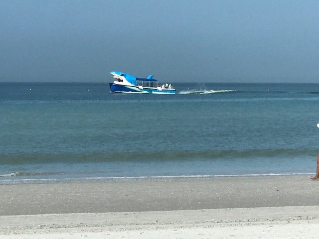 Palm Pavilion Inn on Clearwater Beach-泳池