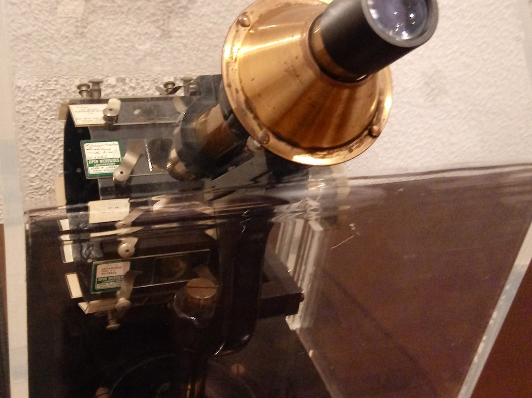 Houston Museum of Natural Science at Sugar Land-舒格兰必去景点