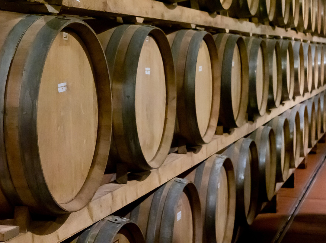 My Tuscan Wine And Tours景点图片