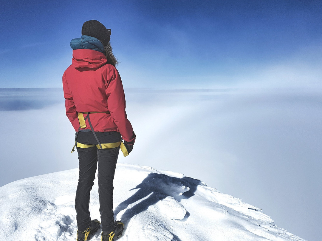 Go West Tours-Arnarstapi必去景点